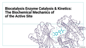 Enzyme Catalysis: Mechanisms and Active Site Kinetics