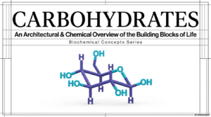 Carbohydrate Biochemistry: An Academic Overview