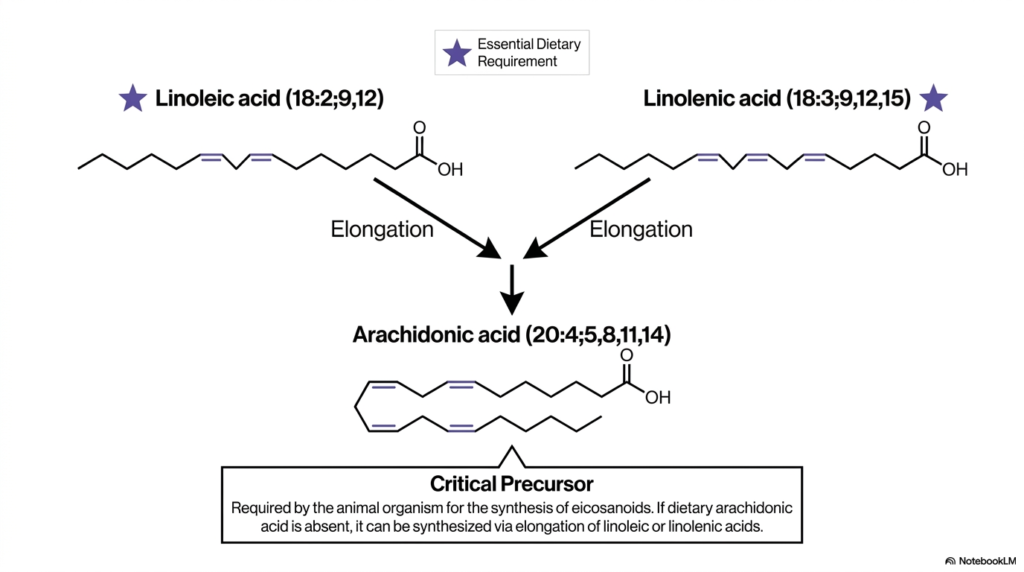 Chemical Architecture of Fatty Acids