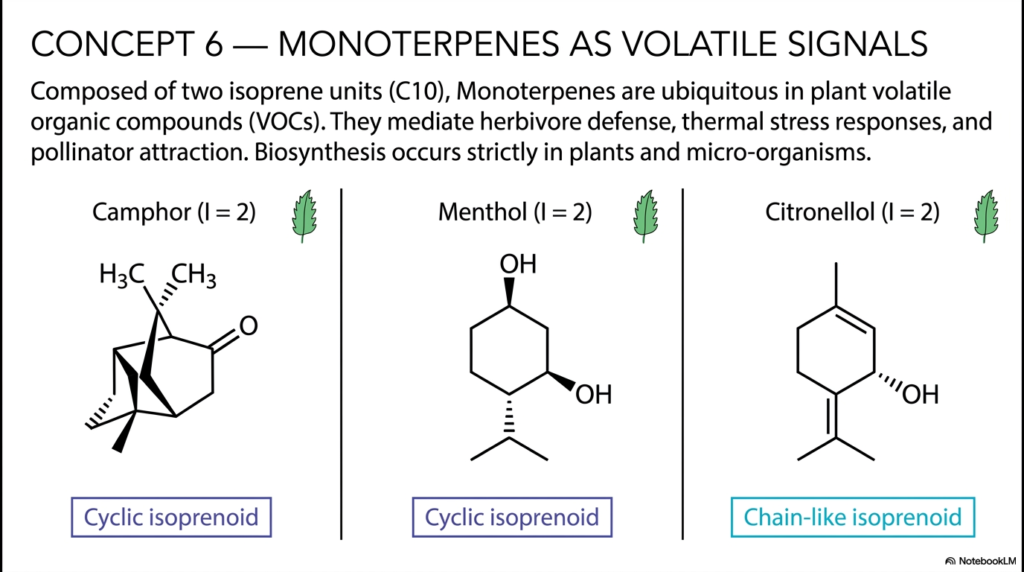 Isoprenoids: Metabolism, Biosynthesis, and Pathways