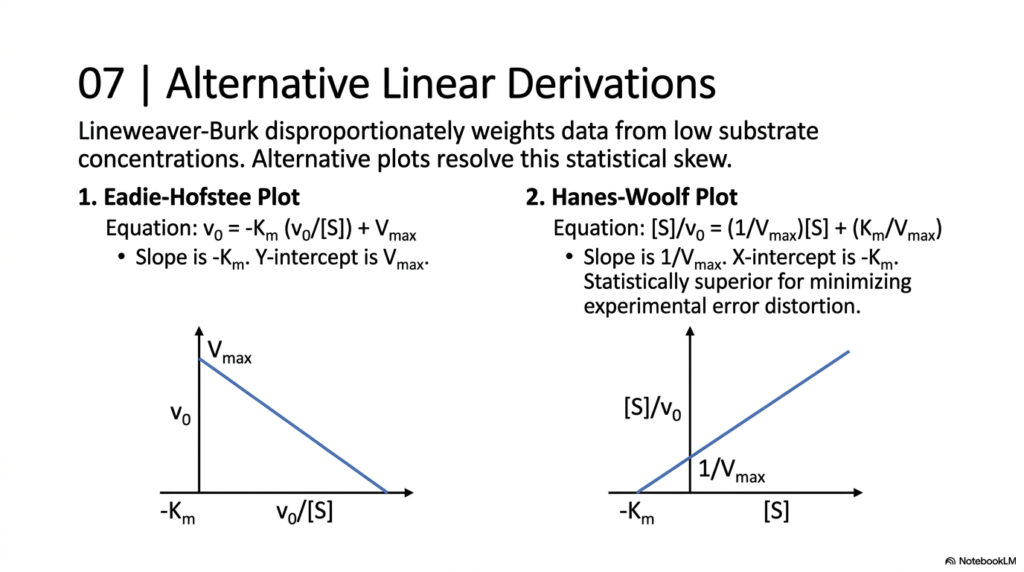 Enzyme Kinetics Explained: Principles, Mechanisms, and Models