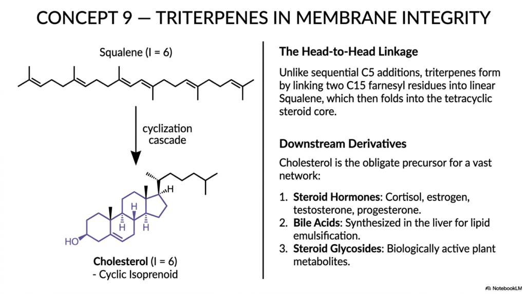 Isoprenoids: Metabolism, Biosynthesis, and Pathways