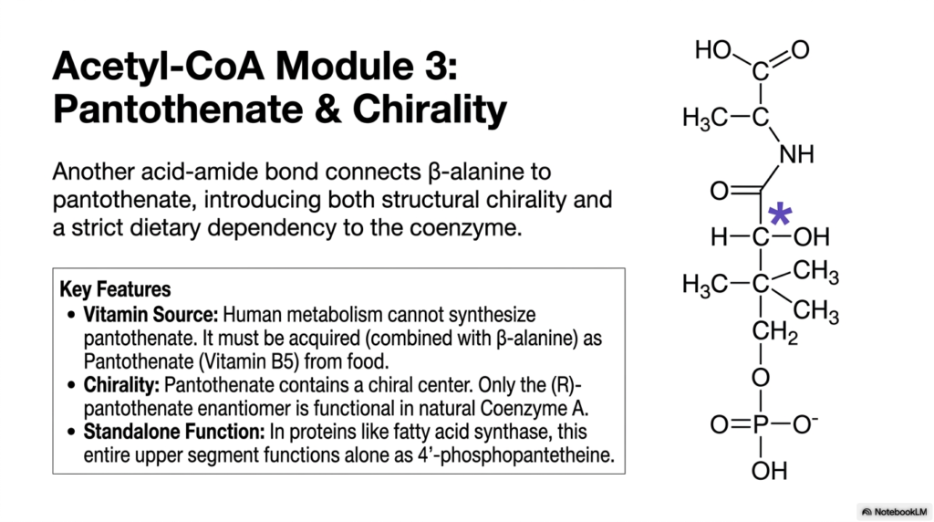 11. Acetyl-CoA Module 3: Pantoinate & Chirality
