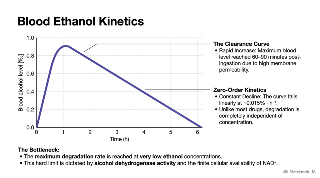 Slide 3: Zero-Order Clearance Kinetics in Ethanol Metabolism