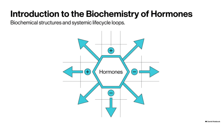 145. Biochemistry of Hormones: Fundamentals of Hormonal Regulation Systems