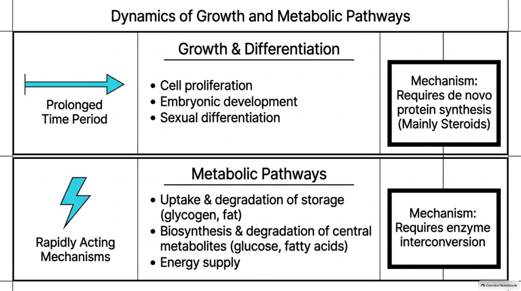 Slide 6: Metabolic Regulation Pathways in the Biochemistry of Hormones