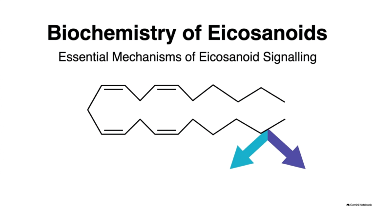 155. Biochemistry of Eicosanoids: Pathways, Functions, and Impact
