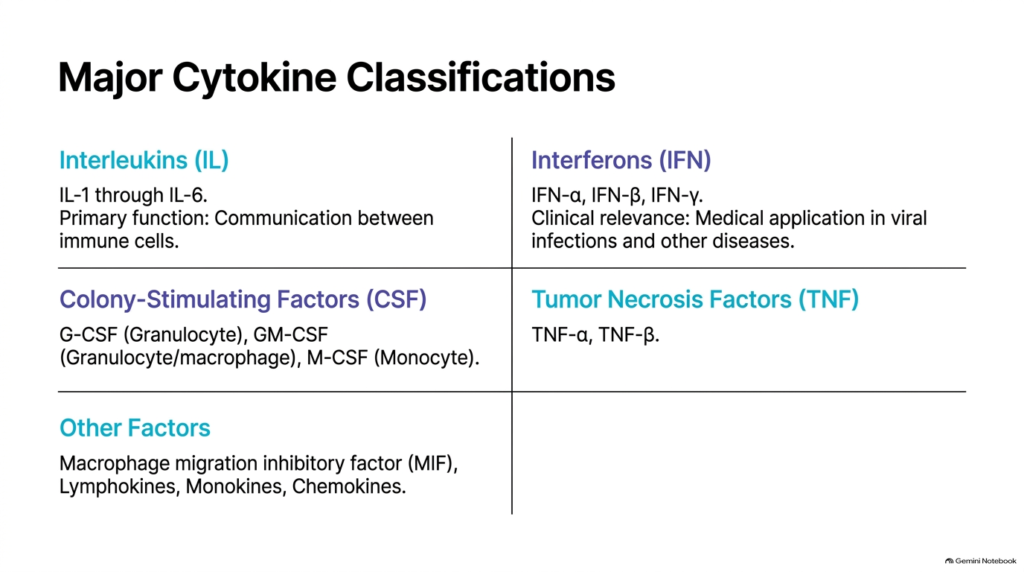 Slide 4: Functional Classifications in the Biochemistry of Cytokines